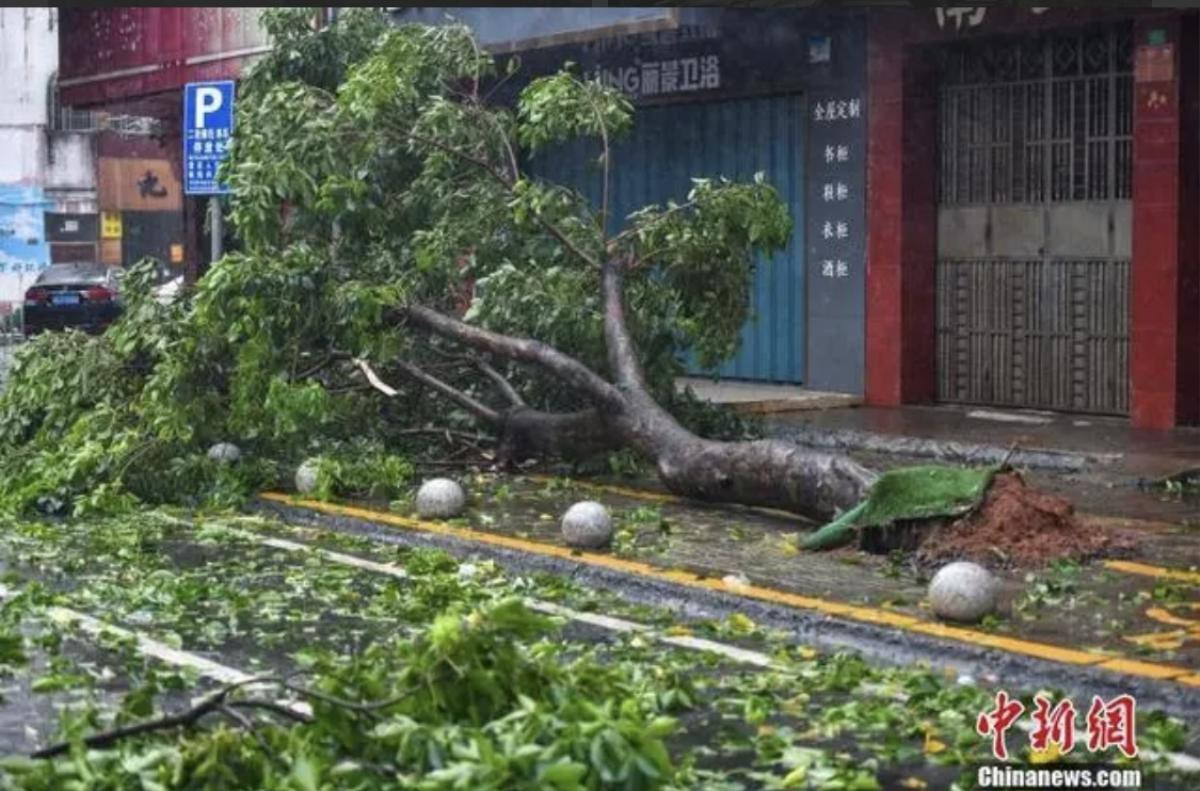 Siêu bão Yagi càn quét dữ dội: Ô tô bị cuốn bay, nhà cửa tan hoang, cây cối đổ ngã la liệt Ảnh 5