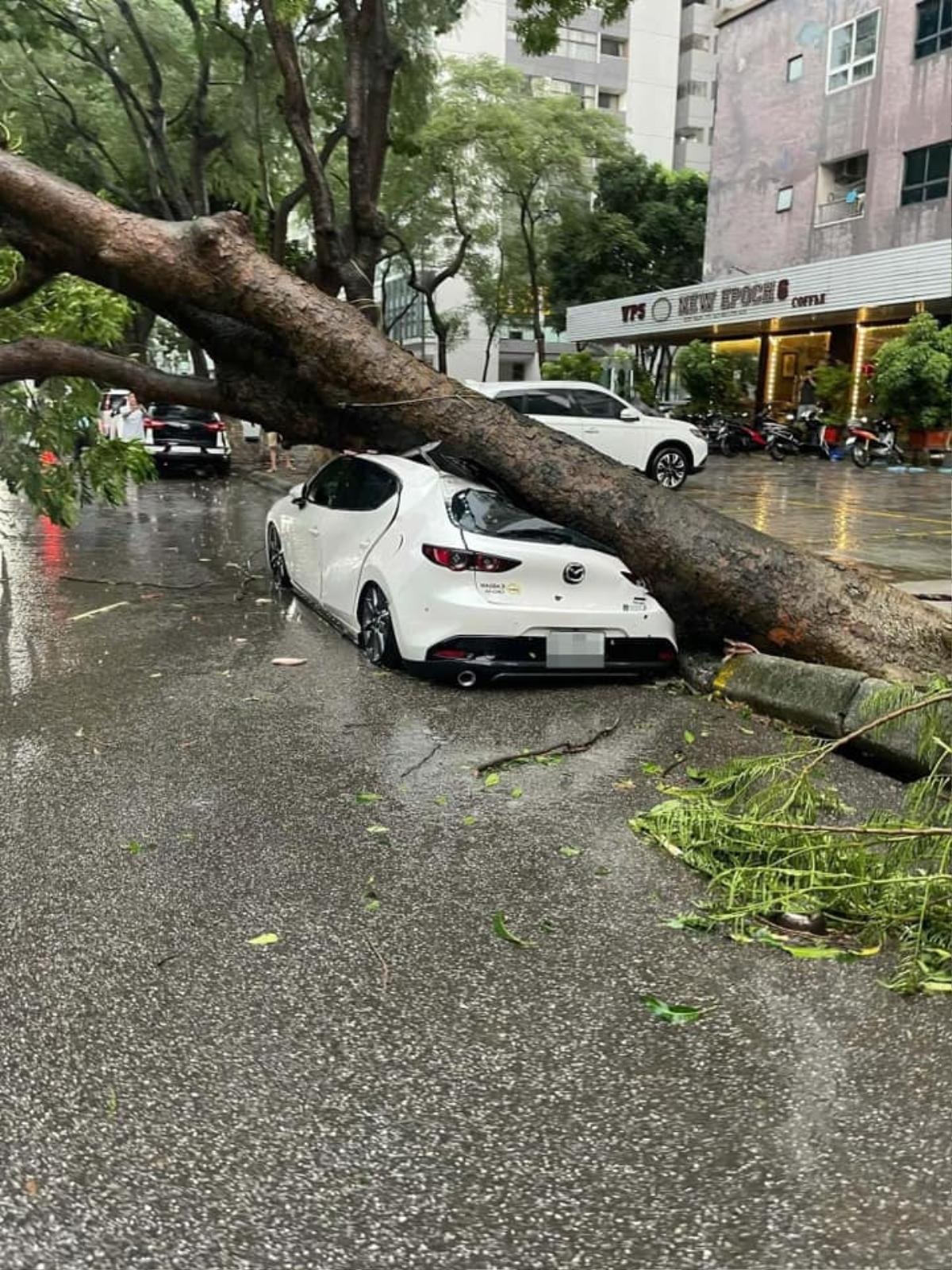 Đu quay nhảy múa loạn xạ trong siêu bão Yagi: Người dân khiếp sợ, chuyến bay trì hoãn hàng giờ Ảnh 3