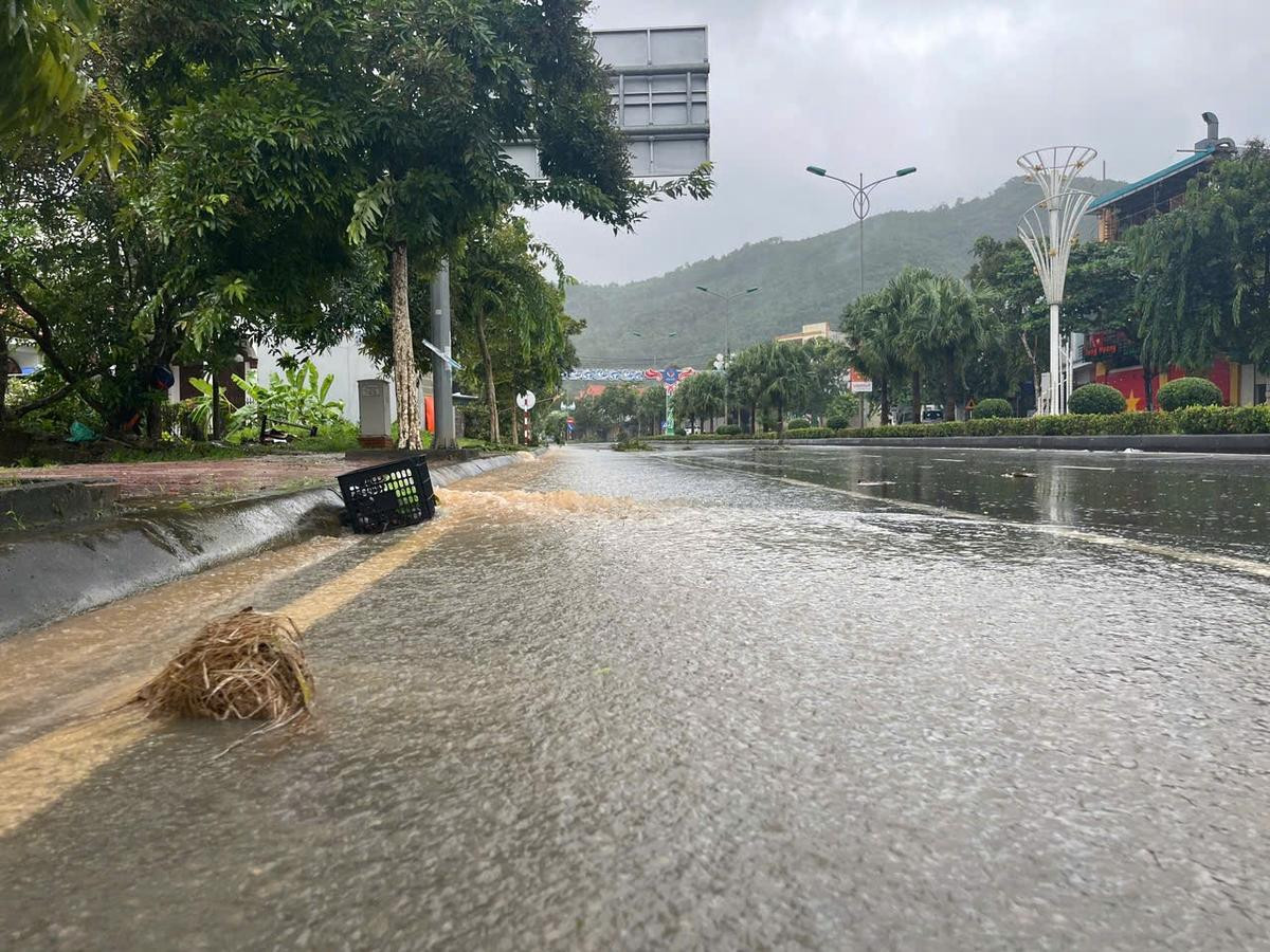 Tâm bão đổ bộ Quảng Ninh: Cây cối bật gốc, mái tôn và biển hiệu bay đầy đường Ảnh 7