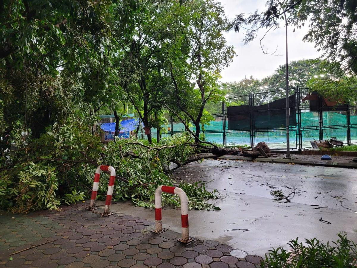 Bão Yagi quần thảo Hà Nội: Gió mạnh giật tung áo mưa, người dân vật lộn trên đường về nhà Ảnh 5