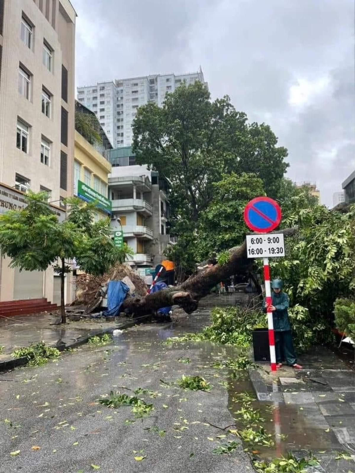 Bão số 3 'càn quét' Hà Nội, Hà Đông mưa dông rất lớn Ảnh 3