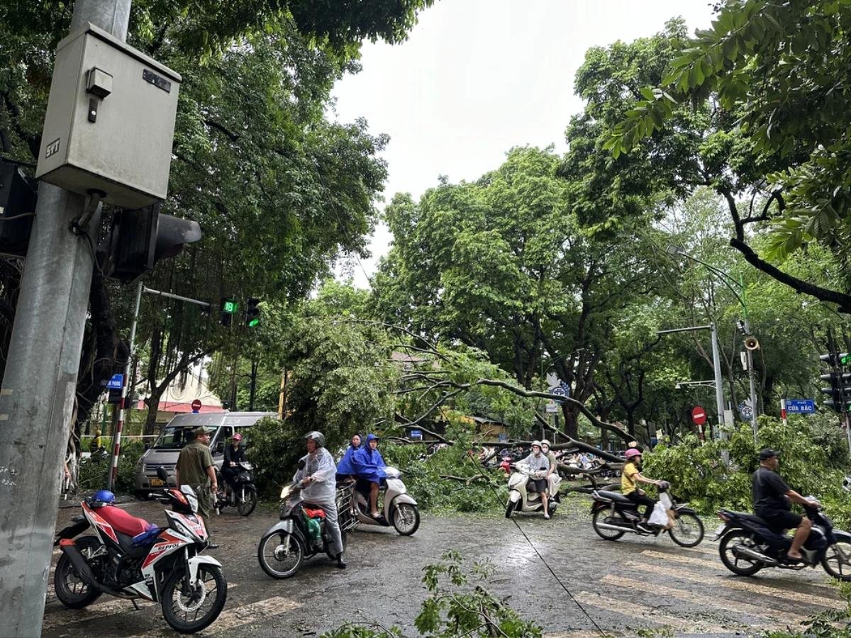 Con đường 'đẹp nhất Thủ đô' cây đổ la liệt, tan hoang sau siêu bão Yagi Ảnh 7