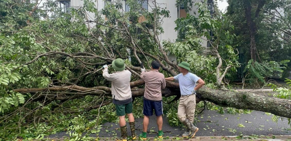 Hình ảnh Xuân Bắc cùng hai con trai dọn cây đổ