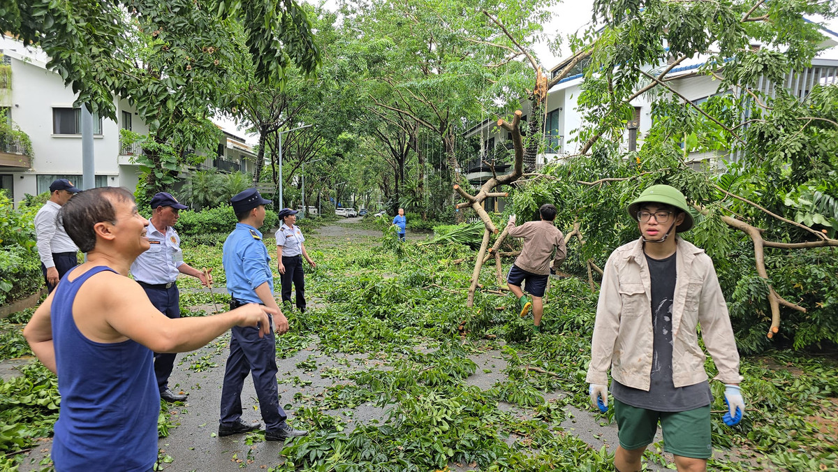 Hình ảnh Xuân Bắc ngắm nhìn các con dọn cây