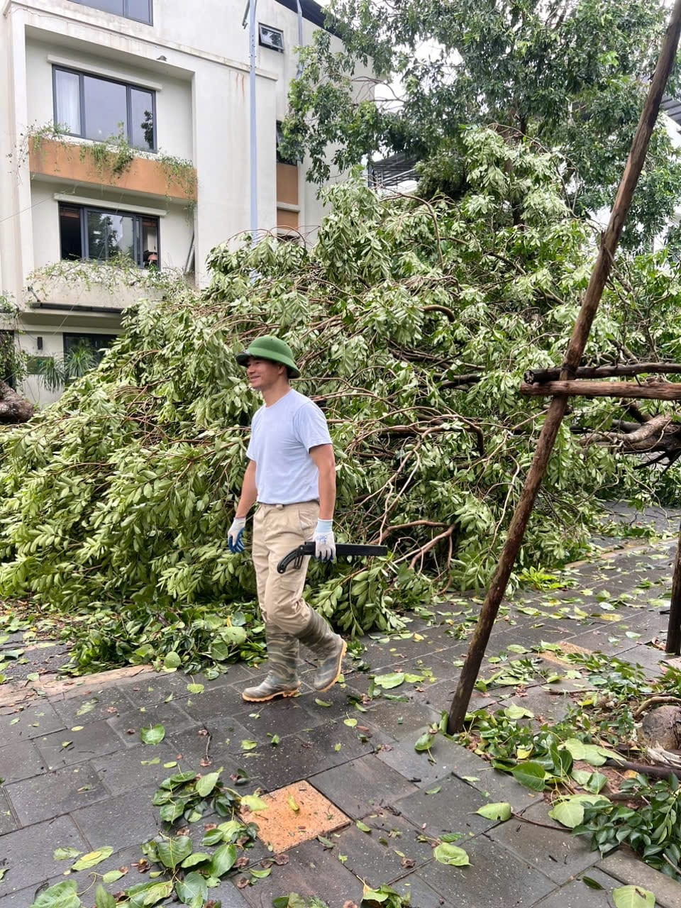 Nhà của NSND Công Lý thiệt hại sau bão Yagi Ảnh 4