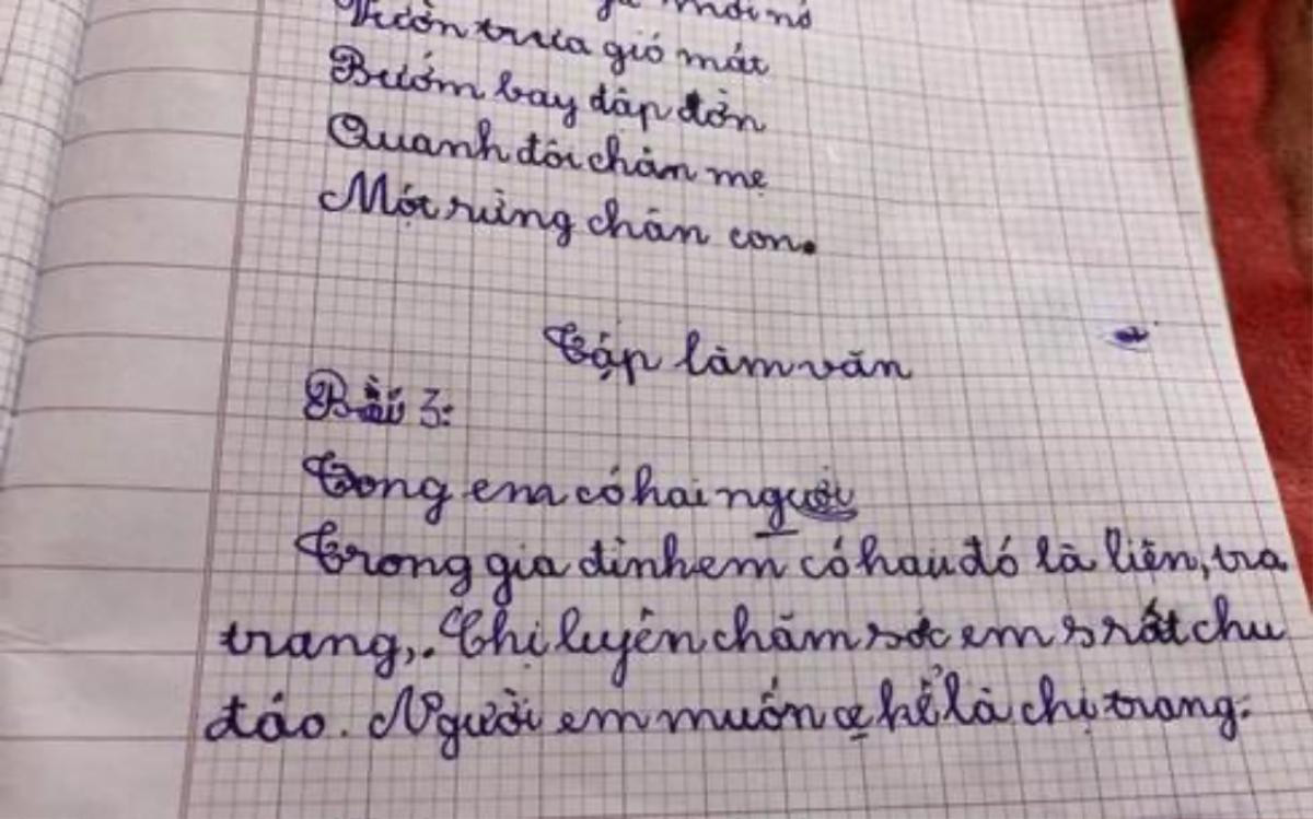 Bài văn tả chị gái chỉ vỏn vẹn 3 dòng, cô giáo được phen 'ngã ngửa' khi đọc nội dung Ảnh 1