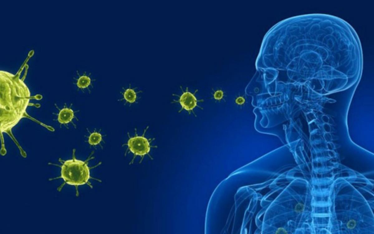 Bộ Y tế thông tin về loại virus giống Covid-19 đang lây lan ở Trung Quốc Ảnh 1