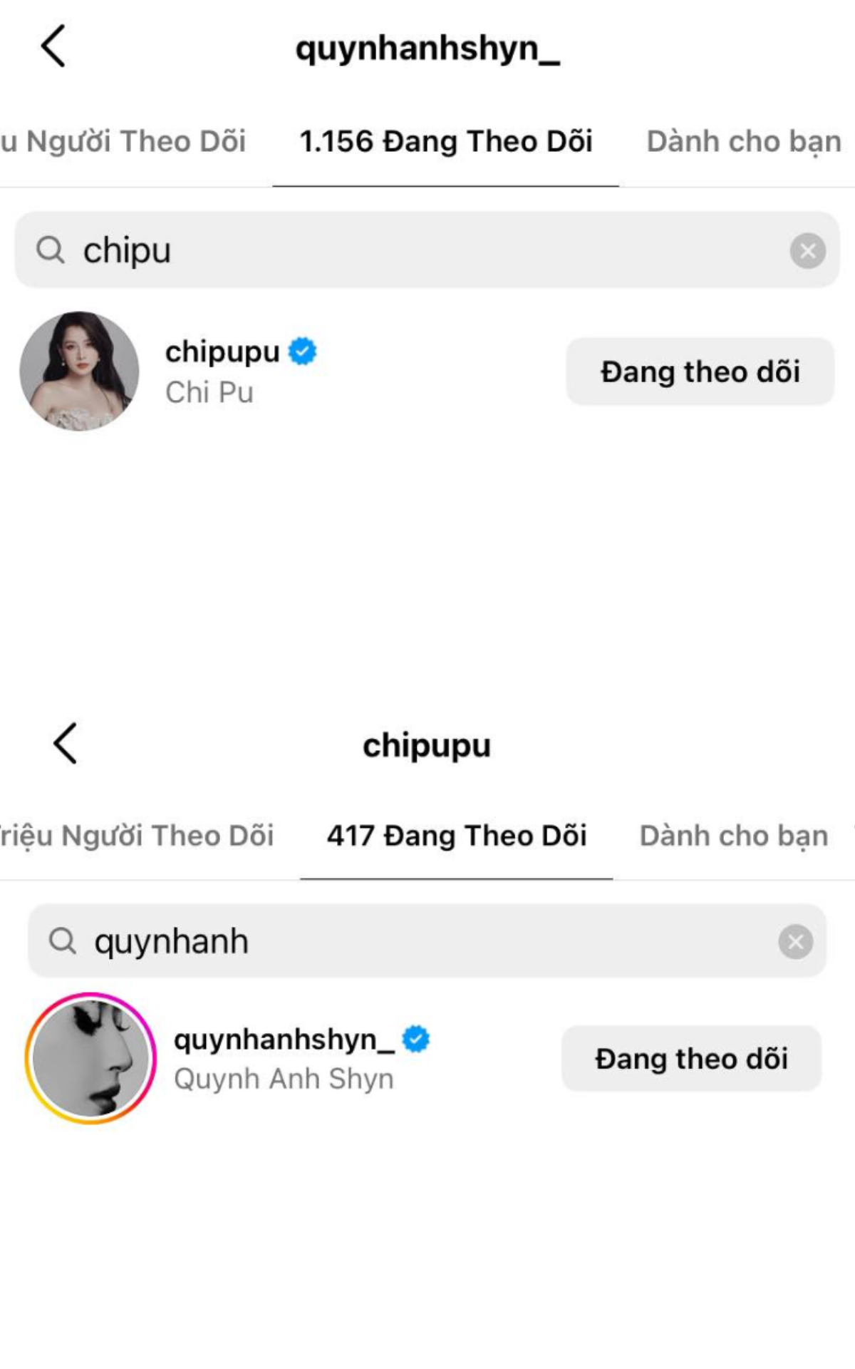 Chi Pu và Quỳnh Anh Shyn theo dõi lẫn nhau trên nền tảng Instagram. Ảnh: Chụp màn hình