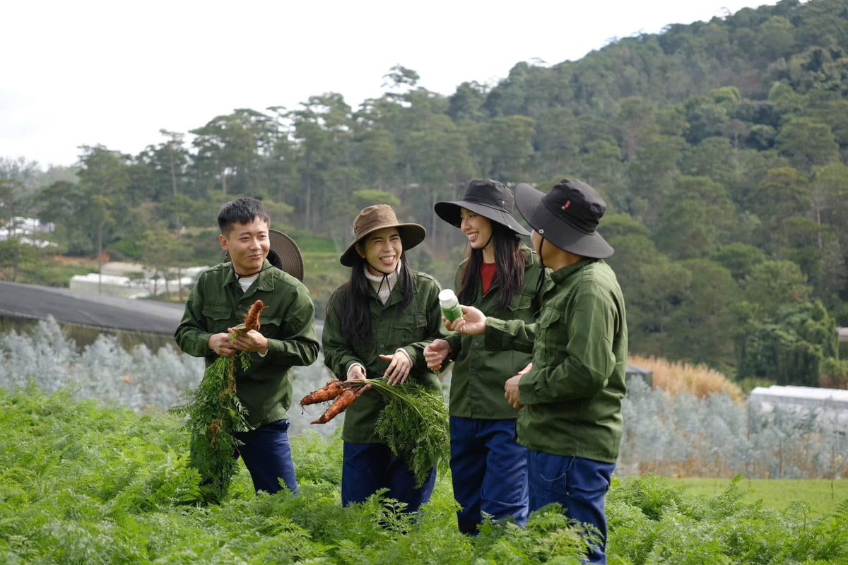 'Check var' vai trò của Thùy Tiên trong công ty của Hằng Du Mục và Quang Linh Ảnh 1
