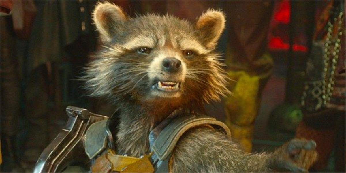 Marvel sẽ để Rocket Raccoon hy sinh trong Guardians of the Galaxy 3? Ảnh 5