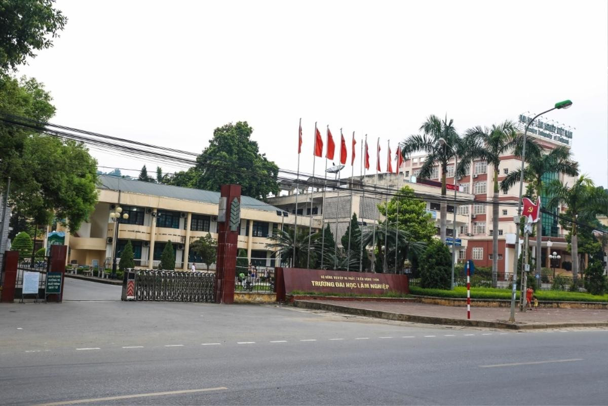 Trường đại học với 110ha rừng giữa thành phố: Chốn bình yên’ là đây Ảnh 1