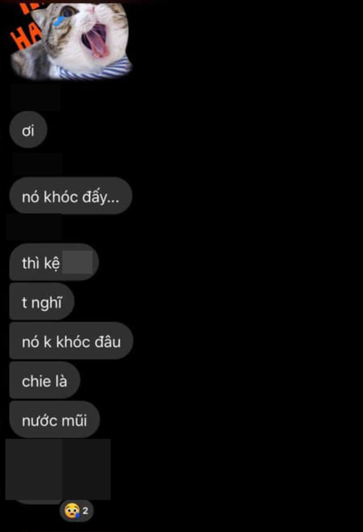 Nữ sinh bị nhóm học sinh trường THPT nổi tiếng lập group chat miệt thị ngoại hình: 'Xấu là một cái tội, nhảy lầu đi' Ảnh 3