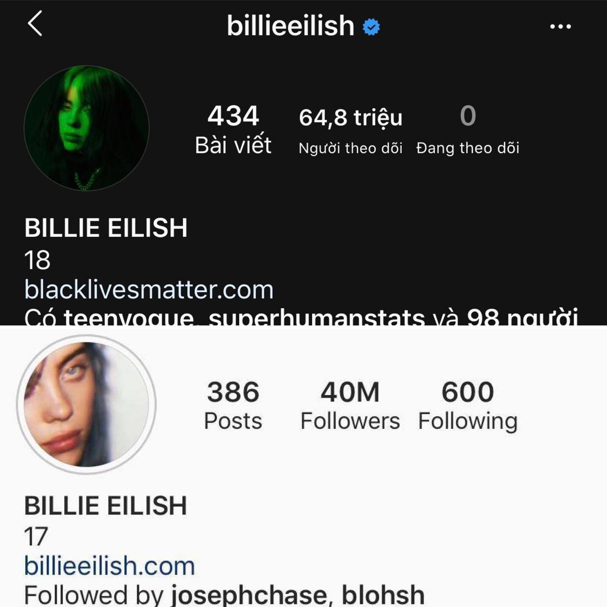 Nối gót Ariana Grande, Billie Eilish 'vô-tội-vạ' unfollow toàn bộ danh sách theo dõi của mình trên Instagram Ảnh 2