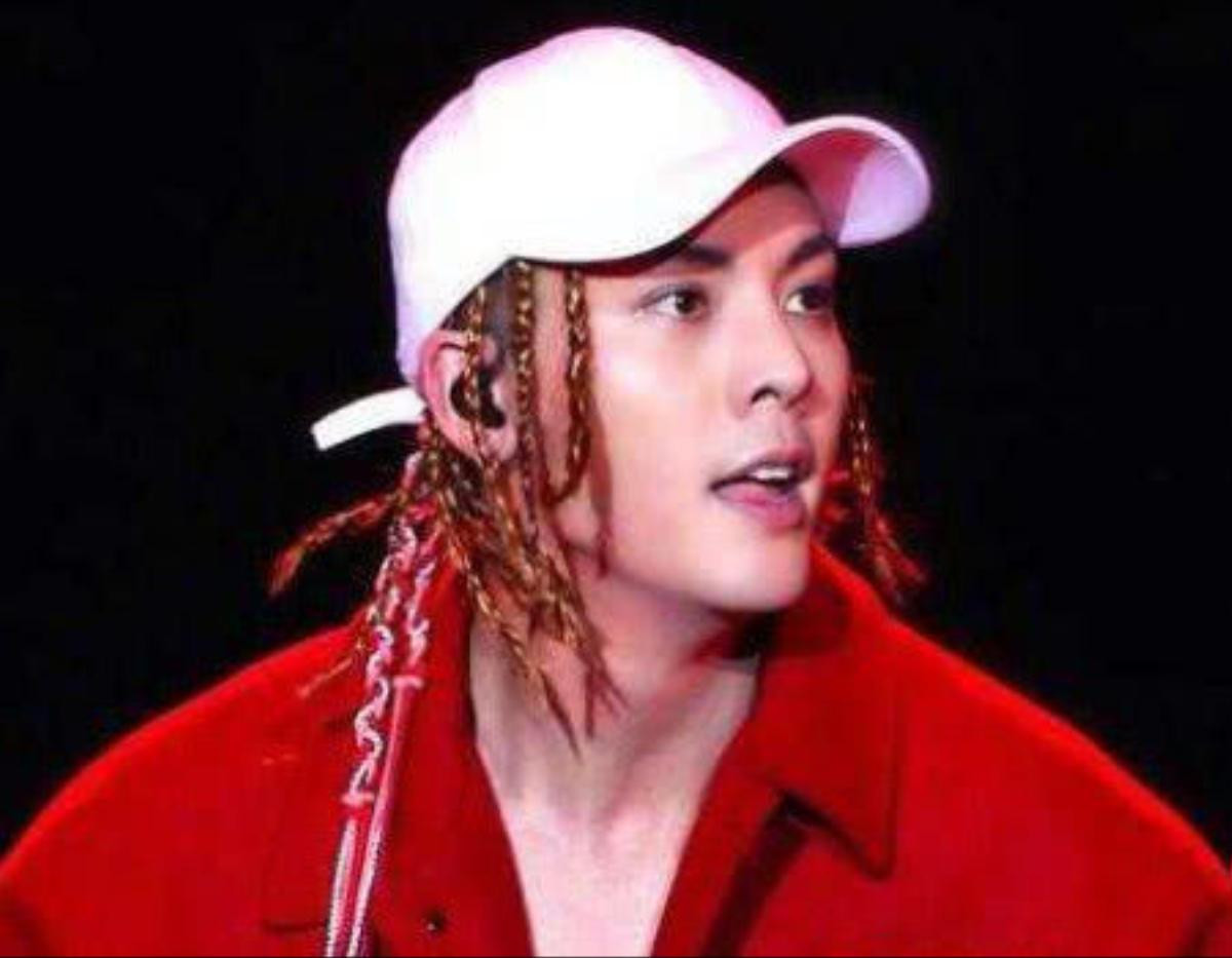 Tạo hình tóc Dreadlocks của nam minh tinh Hoa Ngữ: Ngô Diệc Phàm điển trai nhất, Vương Đại Lục khiến người nhìn cười không ngớt Ảnh 4