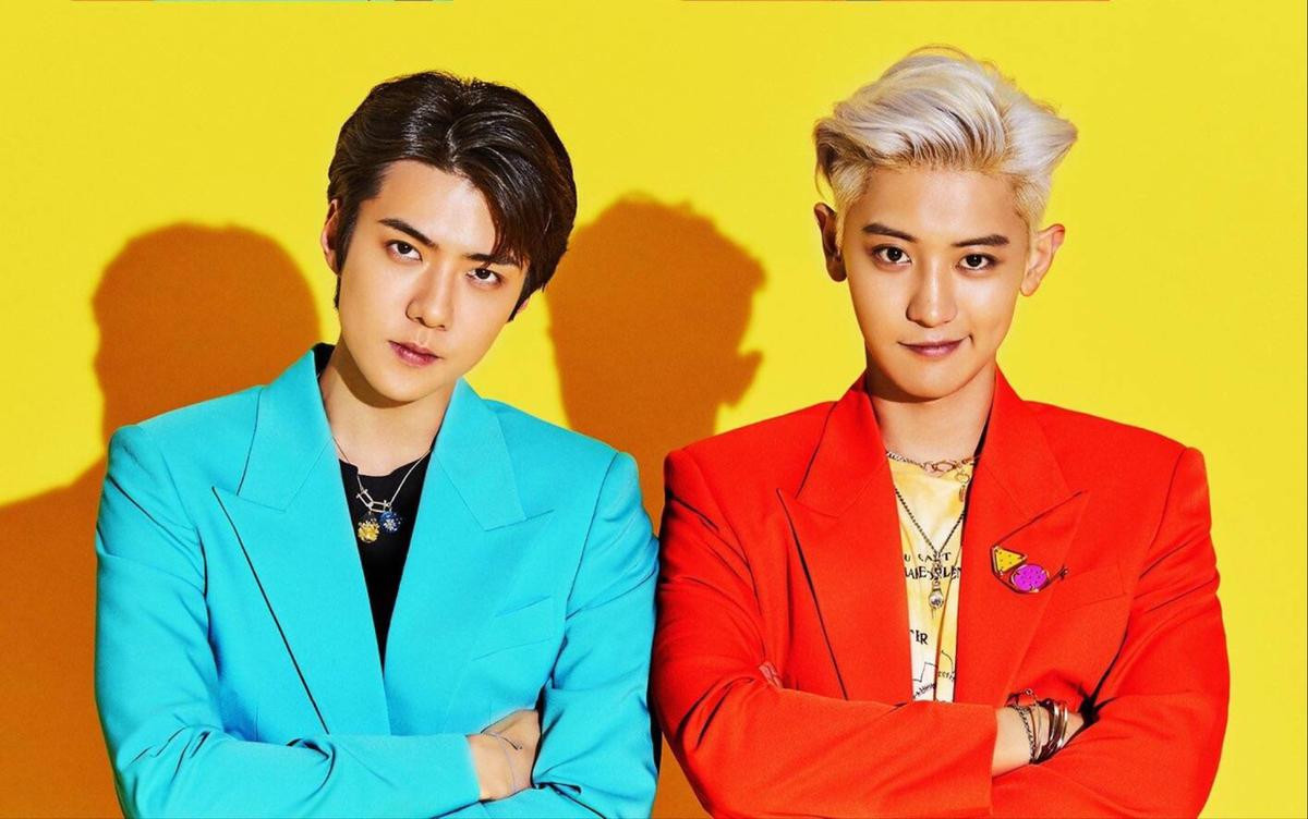 Có thể bạn chưa biết: Chú ngựa này đã đi từ MV của Twice tới EXO-SC, còn từng gặp cả Lee Min Ho Ảnh 1