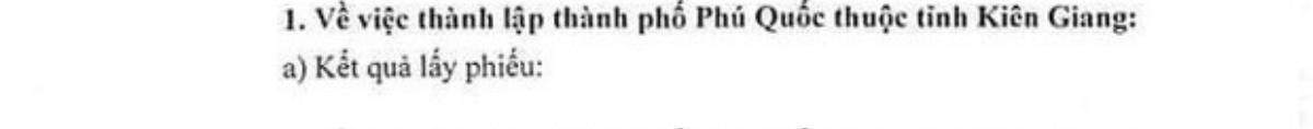 Hơn 96% cử tri đồng ý Phú Quốc trở thành TP đảo đầu tiên của Việt Nam Ảnh 1