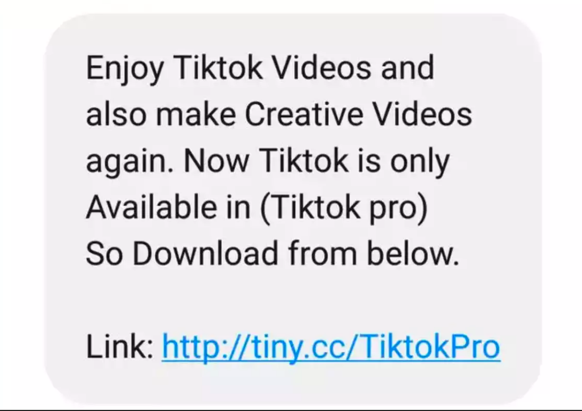 Ứng dụng TikTok giả tấn công người dùng Ấn Độ Ảnh 2