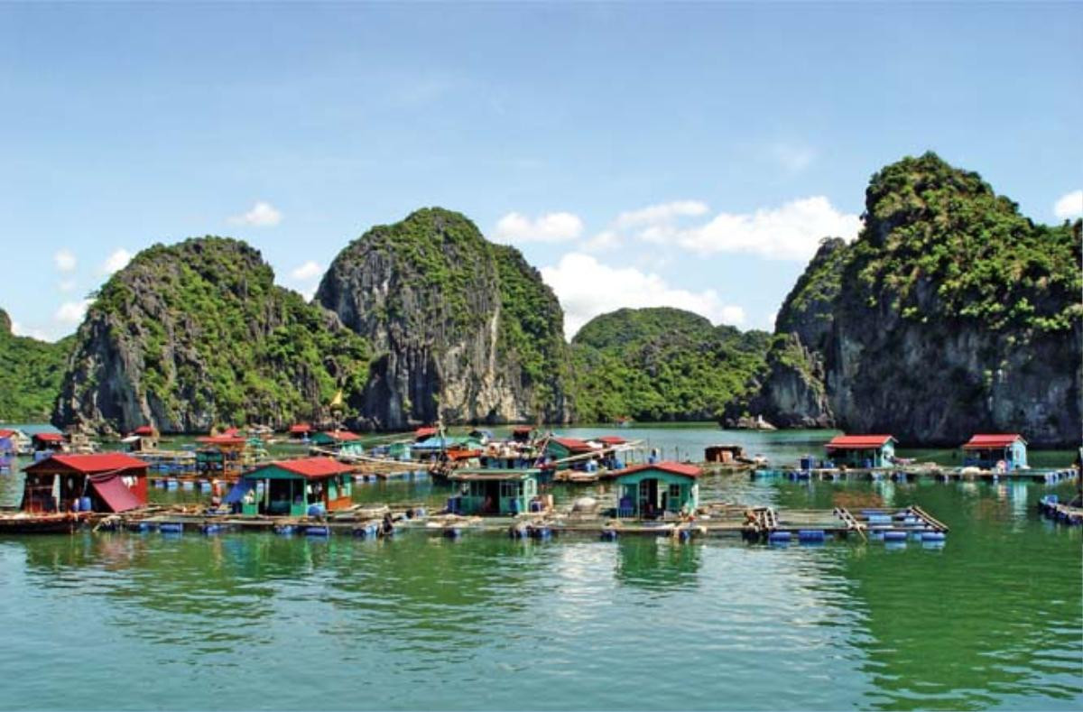 Đông Nhi - Ông Cao Thắng nhiệt tình check-in, Leonardo DiCario tấm tắc khen ngợi, vịnh Lan Hạ đích thị là điểm đến hấp dẫn trong mùa hè Ảnh 5