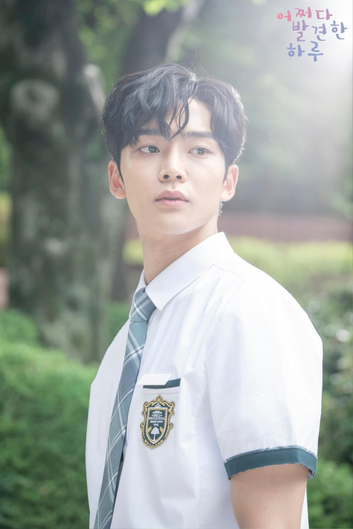 SF9 hủy concert, Rowoon tạm ngưng mọi hoạt động âm nhạc Ảnh 3