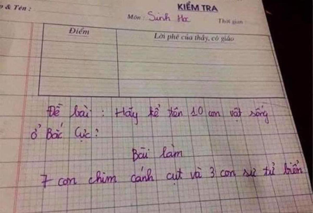 Câu trả lời đầy bất ngờ của học sinh khi được cô giáo yêu cầu 'kể tên 10 con vật sống ở Bắc Cực' Ảnh 1