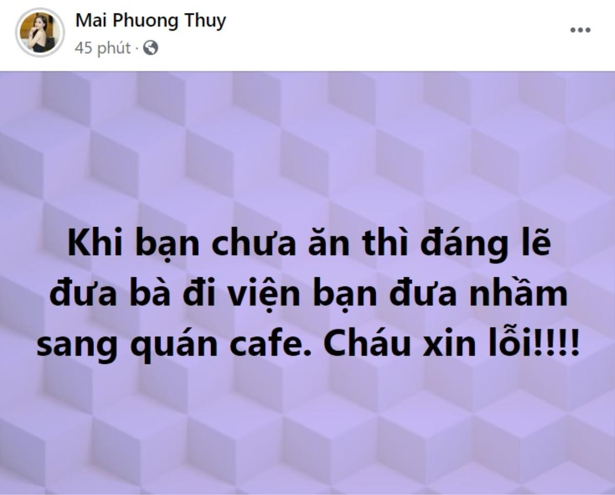 Chỉ tại 'tâm hồn ăn uống': Mai Phương Thuý đưa bà đến bệnh viện nhưng nhầm sang quán cafe Ảnh 1