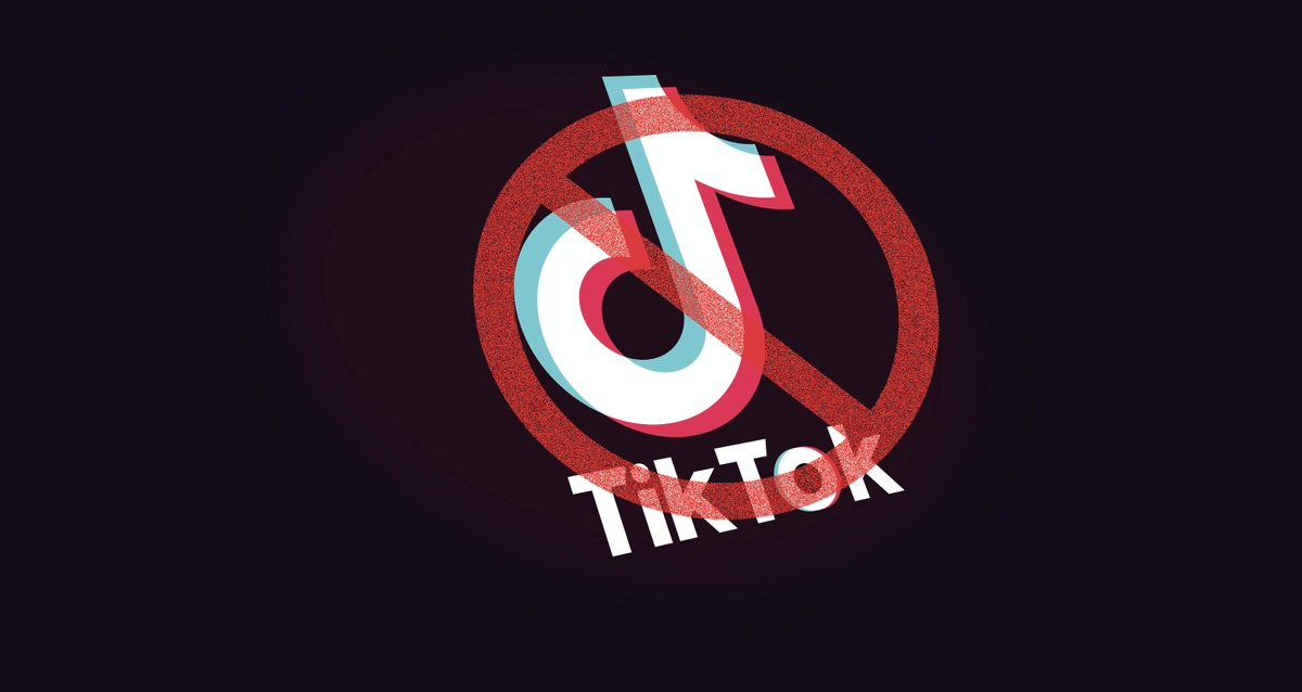 TikTok cân nhắc bán mình cho nhà đầu tư Mỹ Ảnh 3