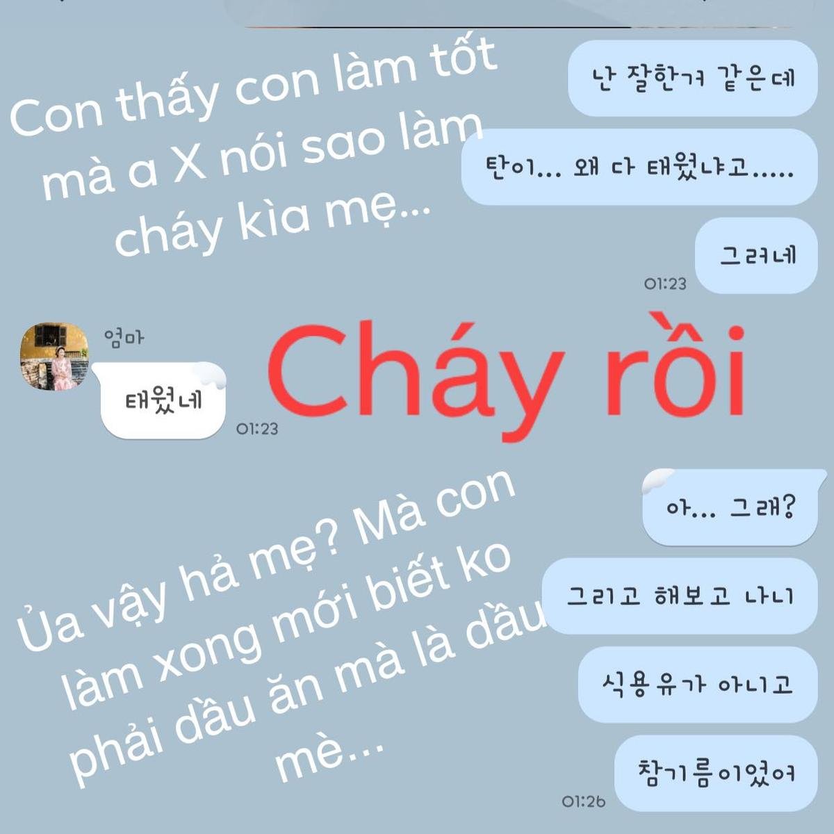 Mấy ai sướng như Hari Won vừa được mẹ chồng yêu chiều lại còn được mẹ ruột sẵn sàng 'cứu nguy' mỗi khi cần Ảnh 6