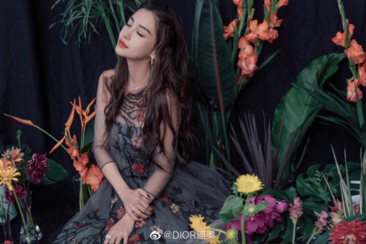 Thật hư chuyện Angelababy bị Dior ghẻ lạnh, mất vị thế độc tôn vào tay Triệu Lệ Dĩnh Ảnh 12