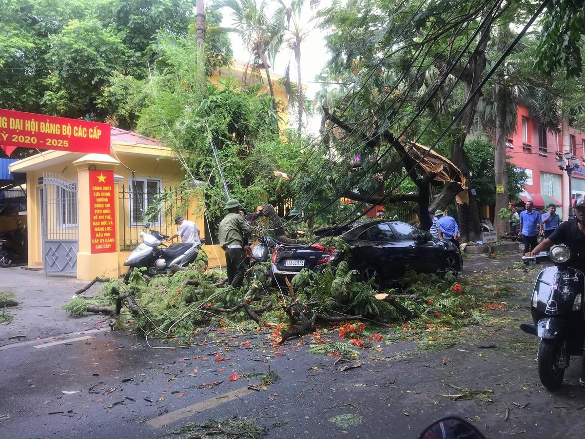 2 cành phượng hơn 70 năm tuổi ở Hải Phòng gãy đổ đè trúng nhiều xe máy và ô tô ven đường Ảnh 1