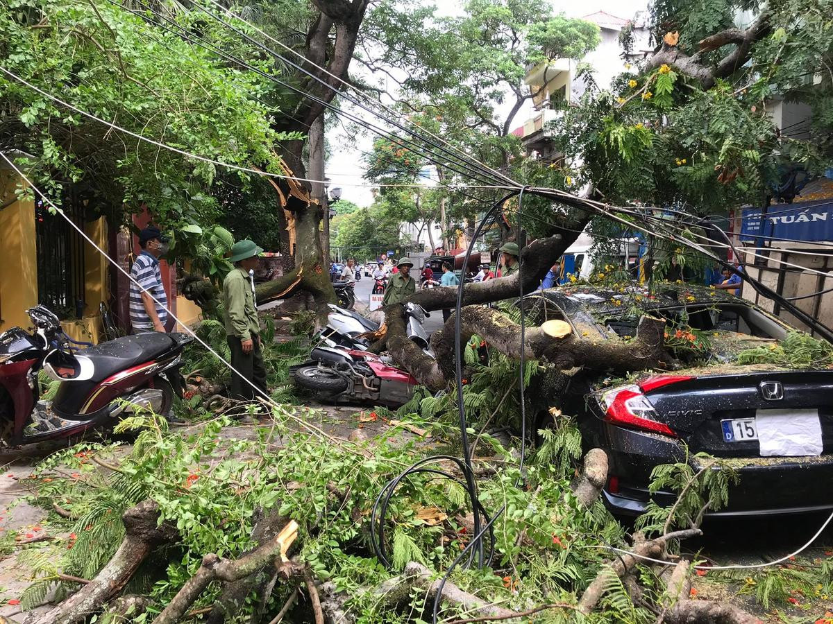 2 cành phượng hơn 70 năm tuổi ở Hải Phòng gãy đổ đè trúng nhiều xe máy và ô tô ven đường Ảnh 2