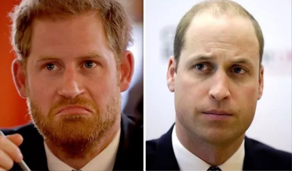 Rạn nứt giữa Harry và William bắt nguồn từ lòng ghen tỵ Ảnh 2