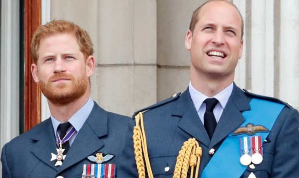 Rạn nứt giữa Harry và William bắt nguồn từ lòng ghen tỵ Ảnh 5