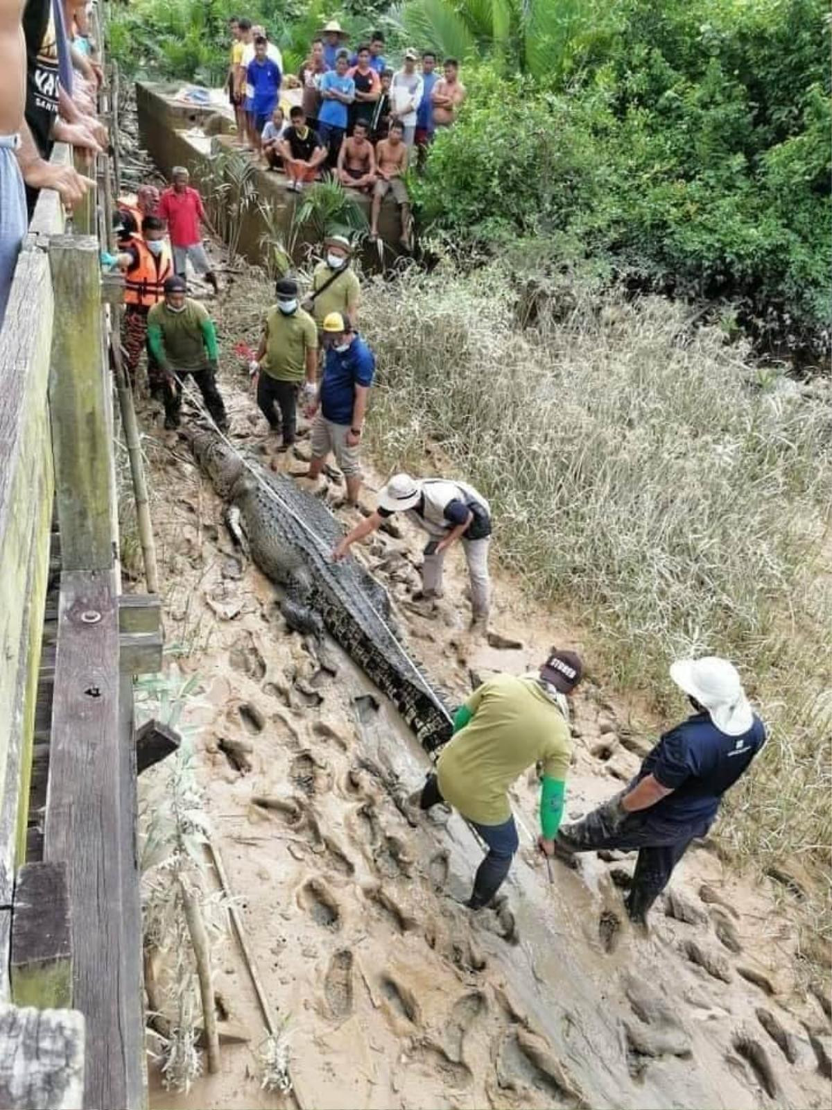 Mất tích 6 ngày, thiếu niên 14 tuổi được tìm thấy trong bụng cá sấu dài 4,7m Ảnh 1