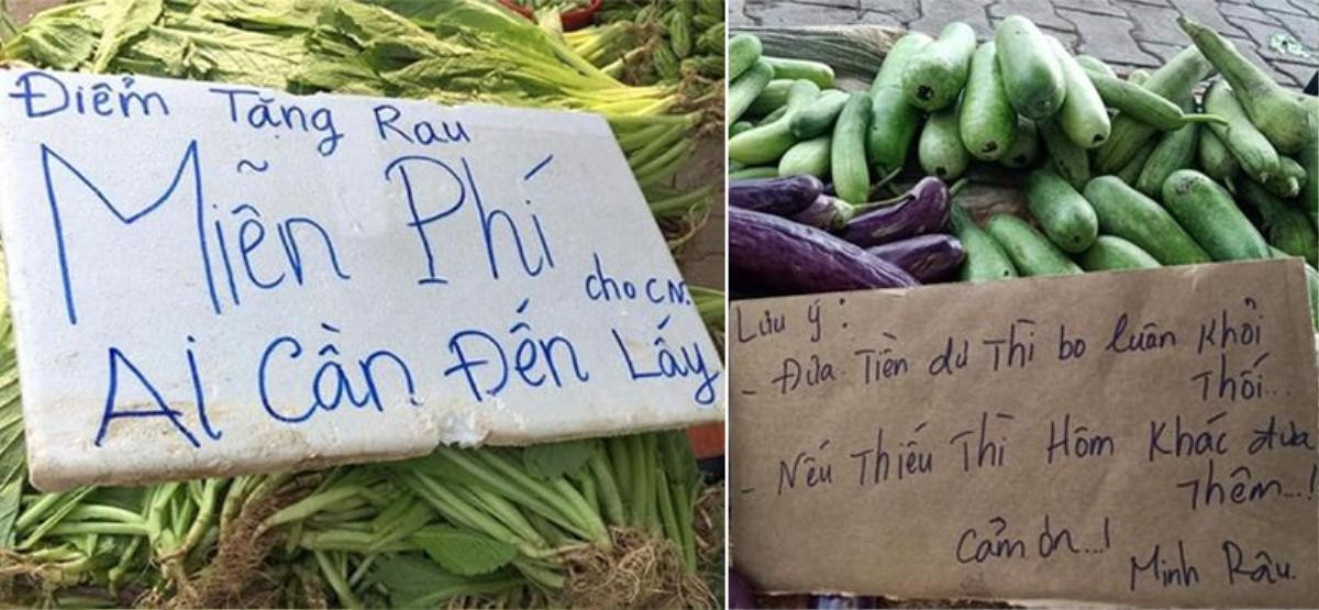 Anh bán rau đỉnh nhất mùa 'Cô Vy': 'Không đeo khẩu trang, bán giá gấp đôi' Ảnh 4