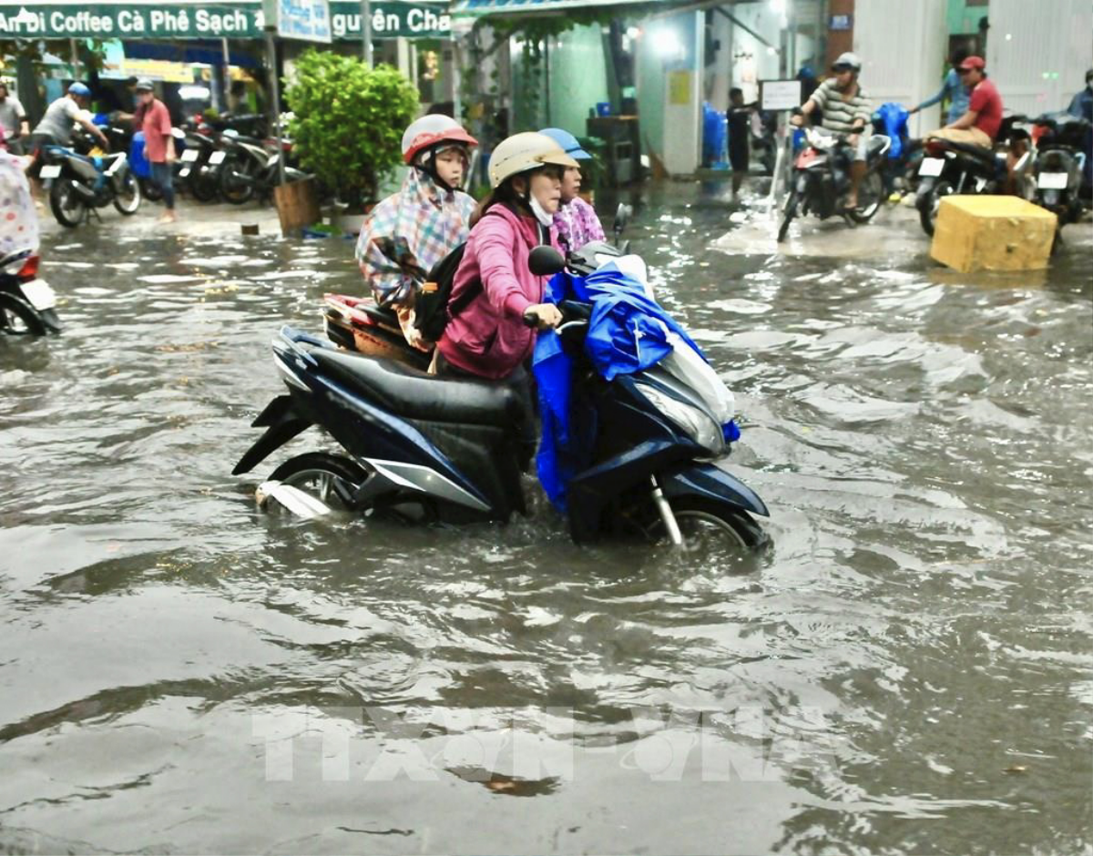 Phải làm gì khi xe bị ngập nước, chết máy để tránh mất thêm tiền Ảnh 6