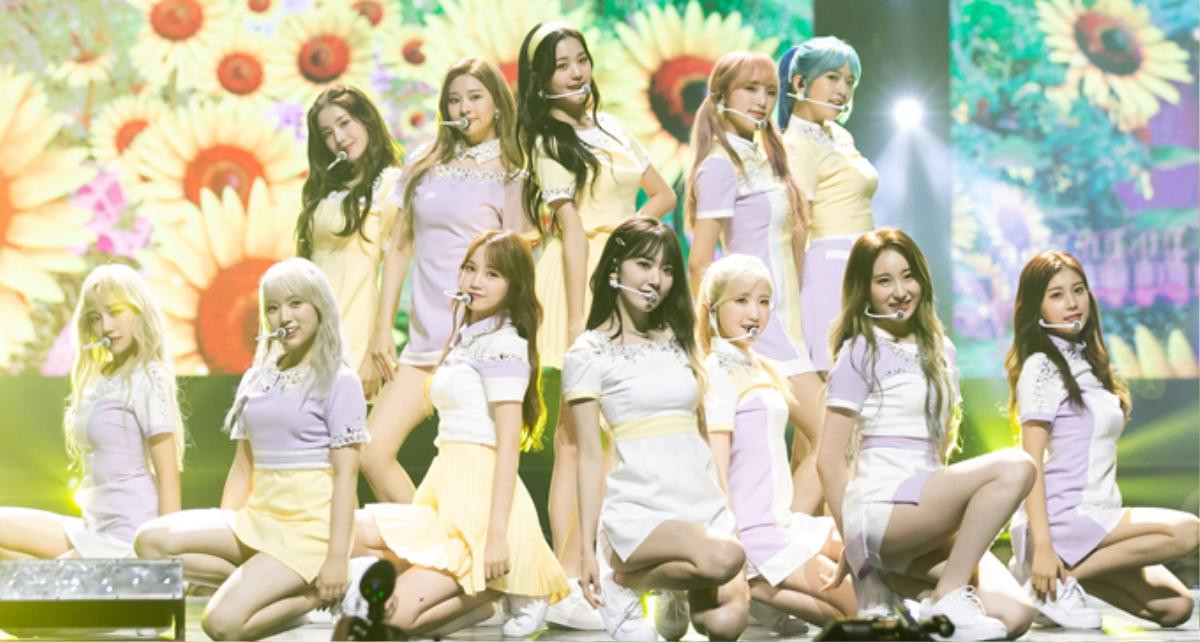 Khả năng hát live của IZ*ONE lại gây tranh cãi: Sân khấu Immortal Song khiến Knet chia phe 'bàn phím chiến' gay gắt Ảnh 1