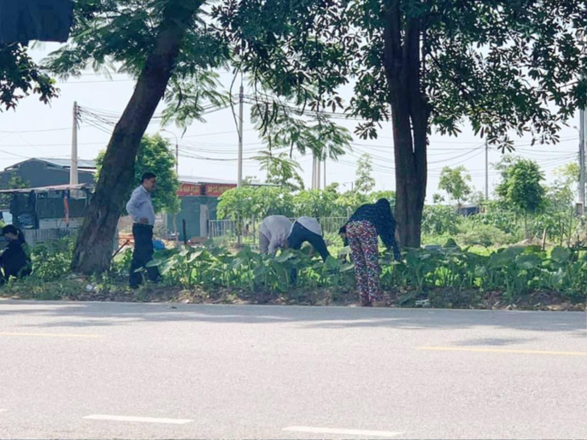 Cả hội phụ huynh lom khom bên vệ đường như đang tìm kiếm vật gì đánh rơi, đến khi biết lí do nhiều người phải 'té ngửa' Ảnh 2