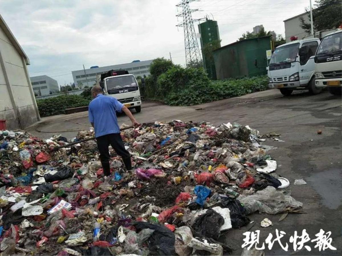 Mất giấy báo trúng tuyển đại học, công nhân vệ sinh lục tung hơn 8 tấn rác để tìm lại cho nam sinh Ảnh 1