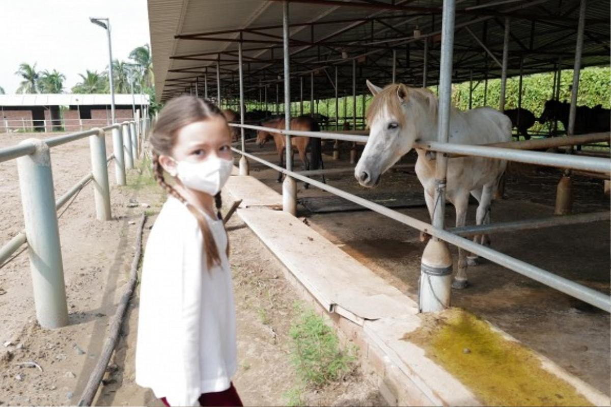 Hồng Nhung hé lộ khoảnh khắc bình yên cùng các con sau khi hoàn thành 14 ngày cách ly tập trung Ảnh 4