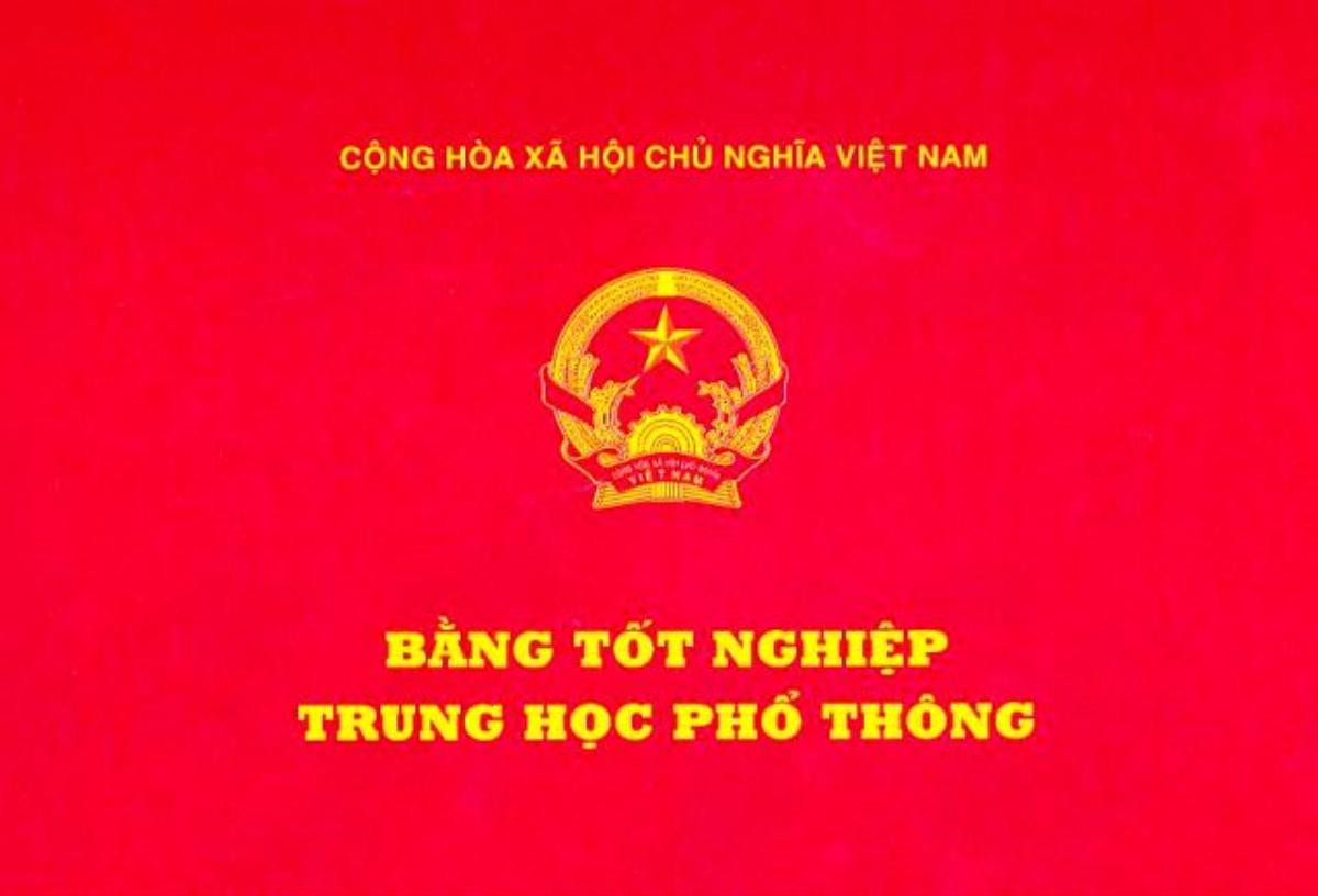 Vừa hoàn thành kỳ thi tốt nghiệp THPT 2020, phó chủ tịch xã bị cách chức Ảnh 1