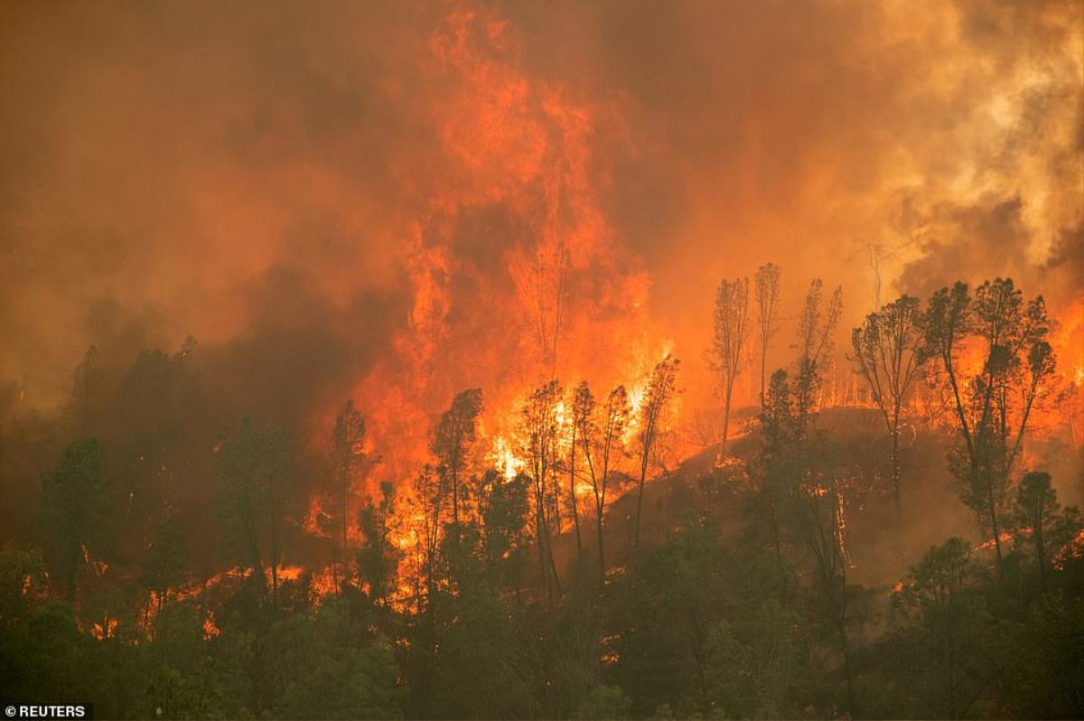 California 'đỏ lửa' vì hàng trăm đám cháy rừng Ảnh 4