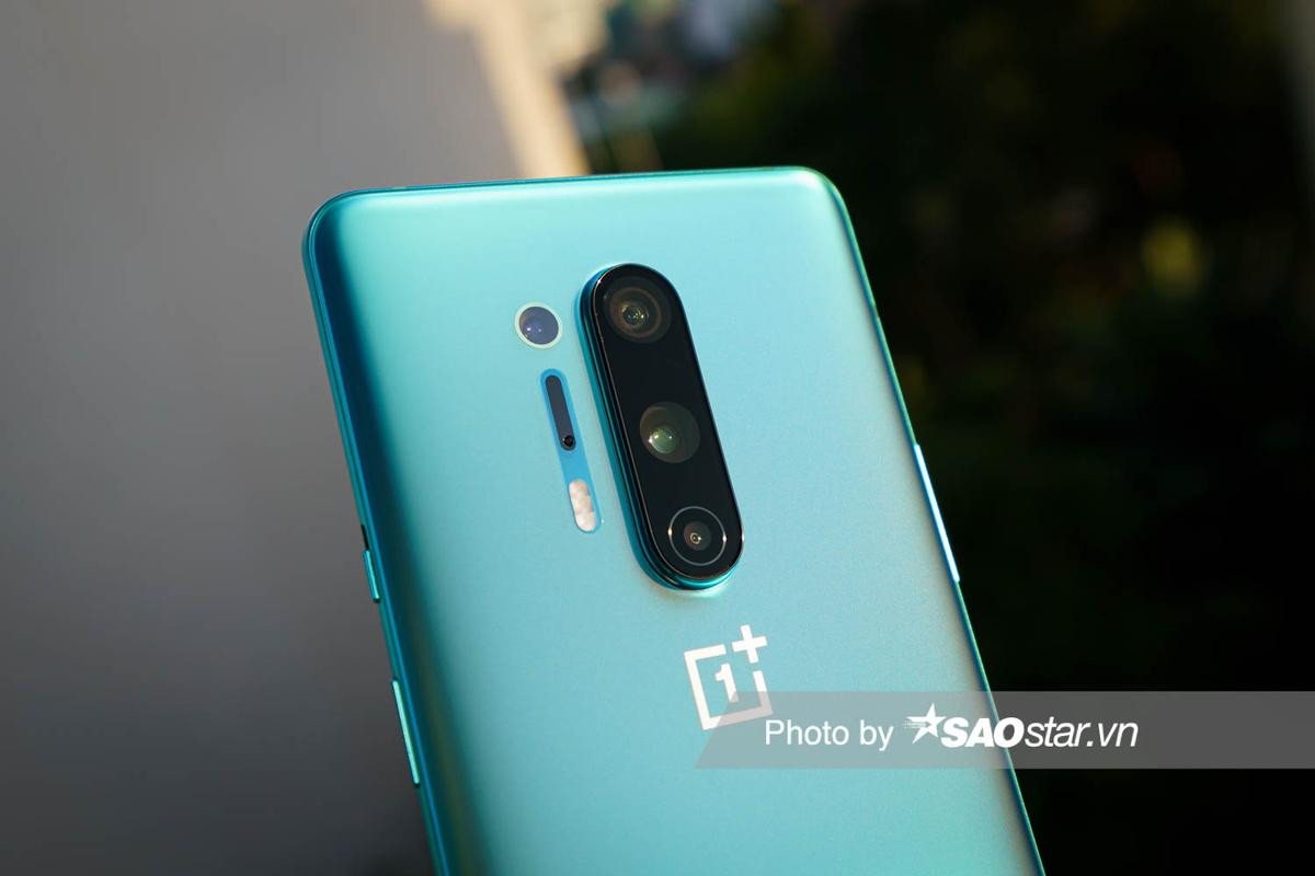 Một ngày dùng thử camera trên OnePlus 8 Pro 5G: Xử lý tốt nhiều hình huống khó, có chế độ chỉnh tay cho những ai thích 'vọc vạch' Ảnh 1