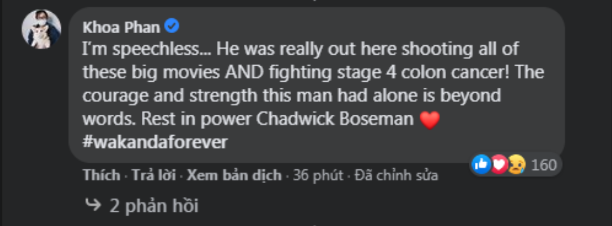 Khán giả thương tiếc nói lời vĩnh biệt với Chadwick Boseman - Black Panther của MCU Ảnh 7