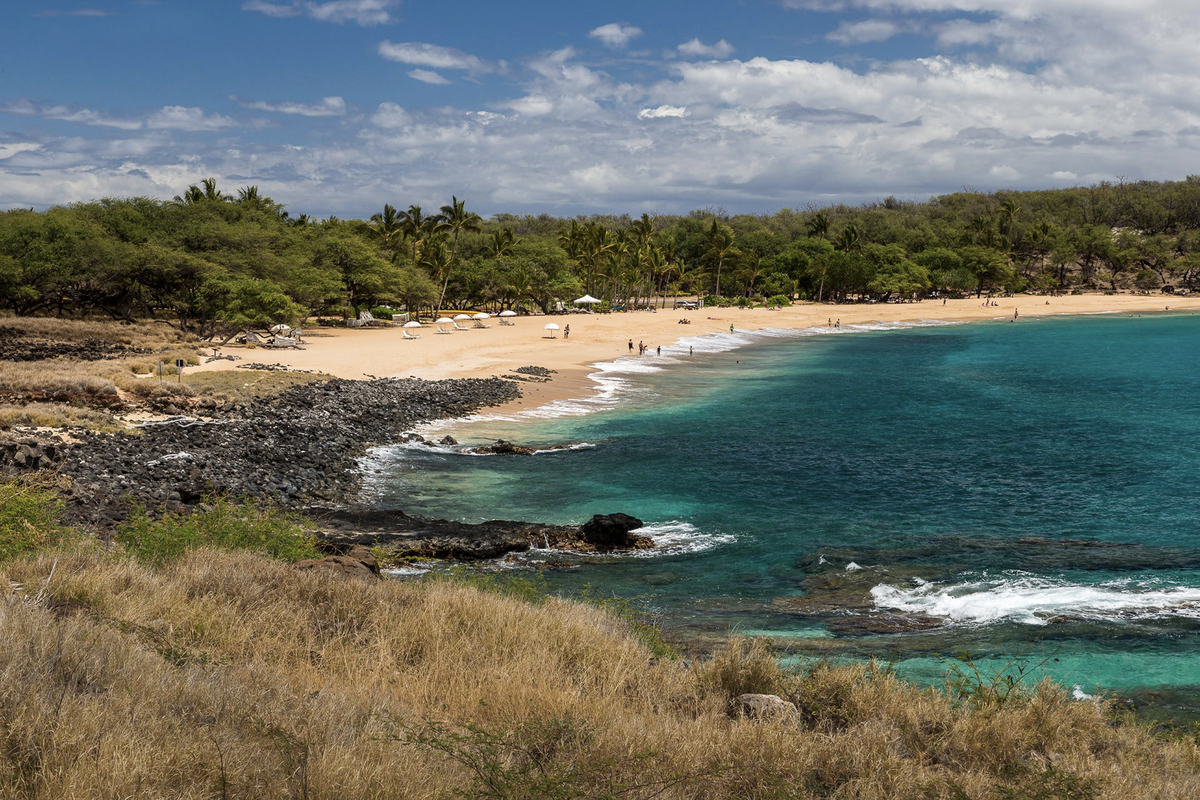 Thú vui đốt tiền kỳ lạ của các đại gia công nghệ: Chi 300 triệu USD để mua đảo ở Hawaii, chế tạo đồng 10 nghìn năm mới đổ chuông 1 lần Ảnh 2