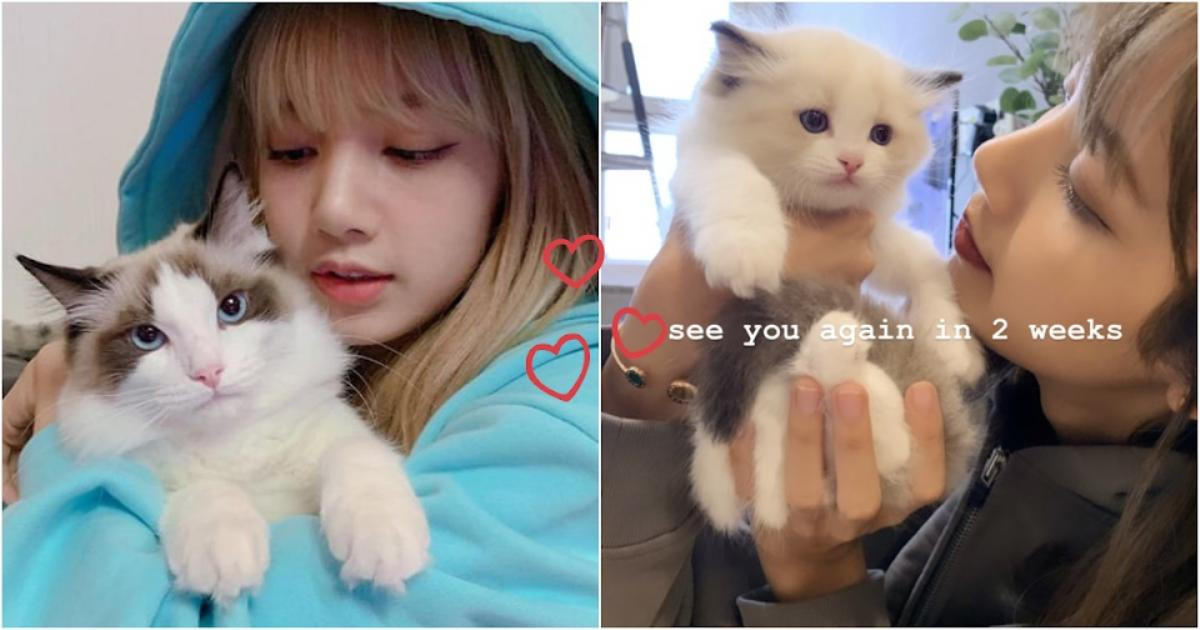 Ngắm nhìn loạt ảnh siêu dễ thương của Lisa (BLACKPINK) và bốn 'tiểu boss' Ảnh 2