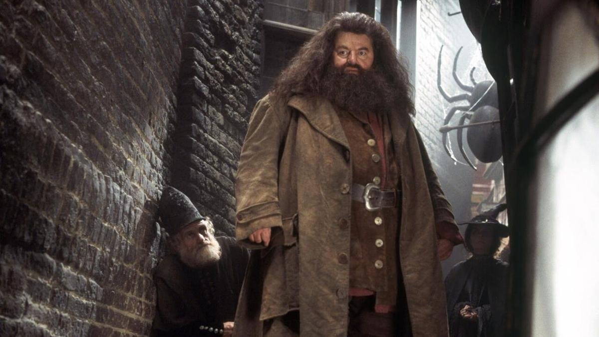 Rubeus Hagrid sẽ xuất hiện trong 'Fantastic Beast 3'? Ảnh 6