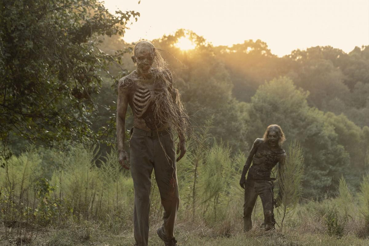 'The Walking Dead' bất ngờ công bố kết thúc sau 11 mùa, sau đó là phần phim riêng về Daryl và Carol Ảnh 2