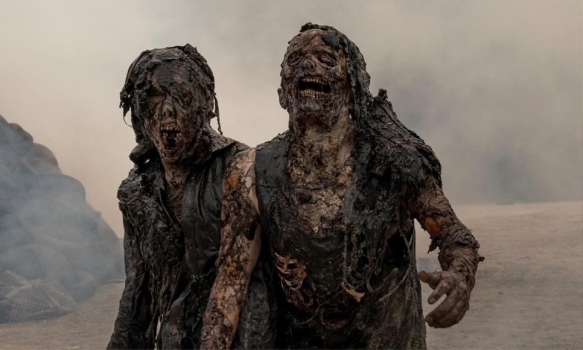 'The Walking Dead' bất ngờ công bố kết thúc sau 11 mùa, sau đó là phần phim riêng về Daryl và Carol Ảnh 8