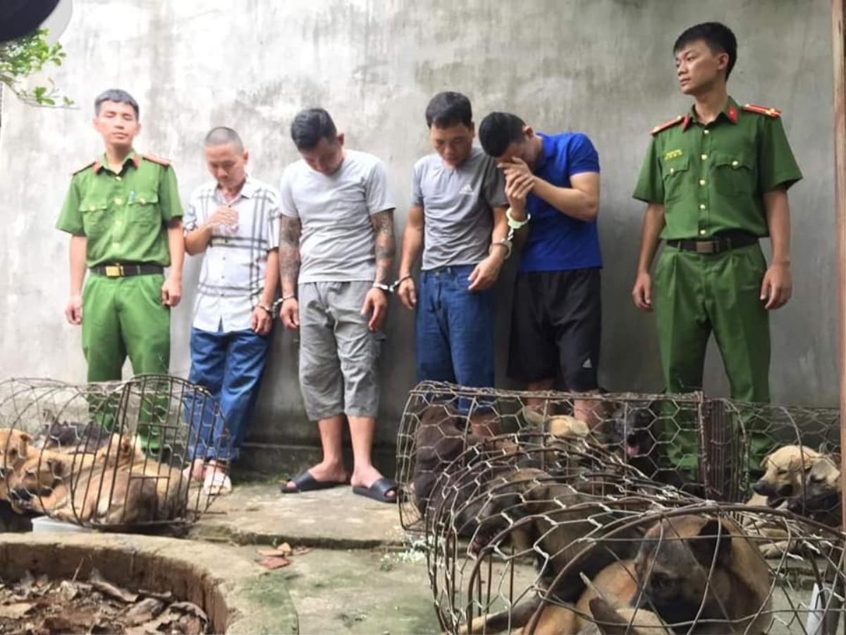 Bắt hai ổ nhóm trộm chó chuyên nghiệp, 'câu' nửa tạ chó mỗi đêm Ảnh 1