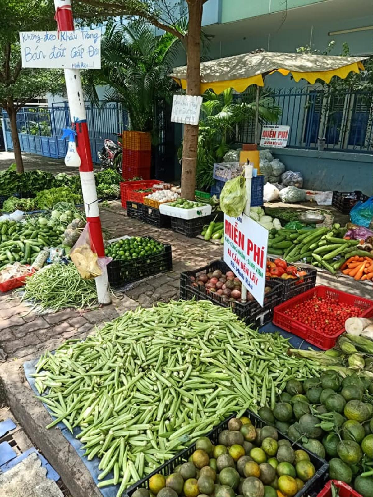 Chuyện 'gã' bán rau và cái tình hào sảng, sẵn sàng phát rau miễn phí cho bà con nghèo Ảnh 4